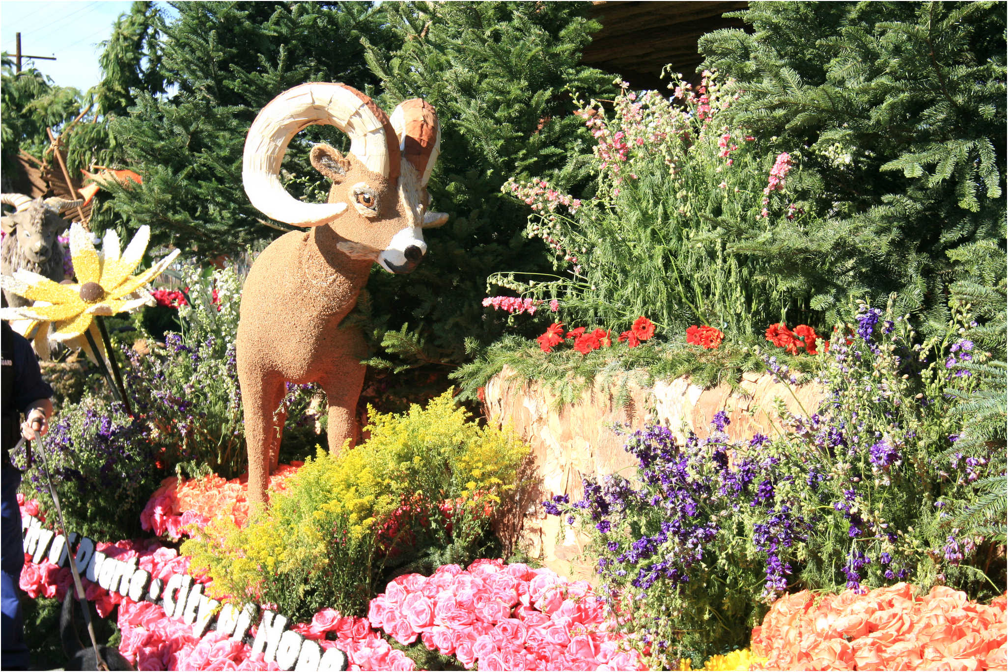 Rose Parade Walk  2007