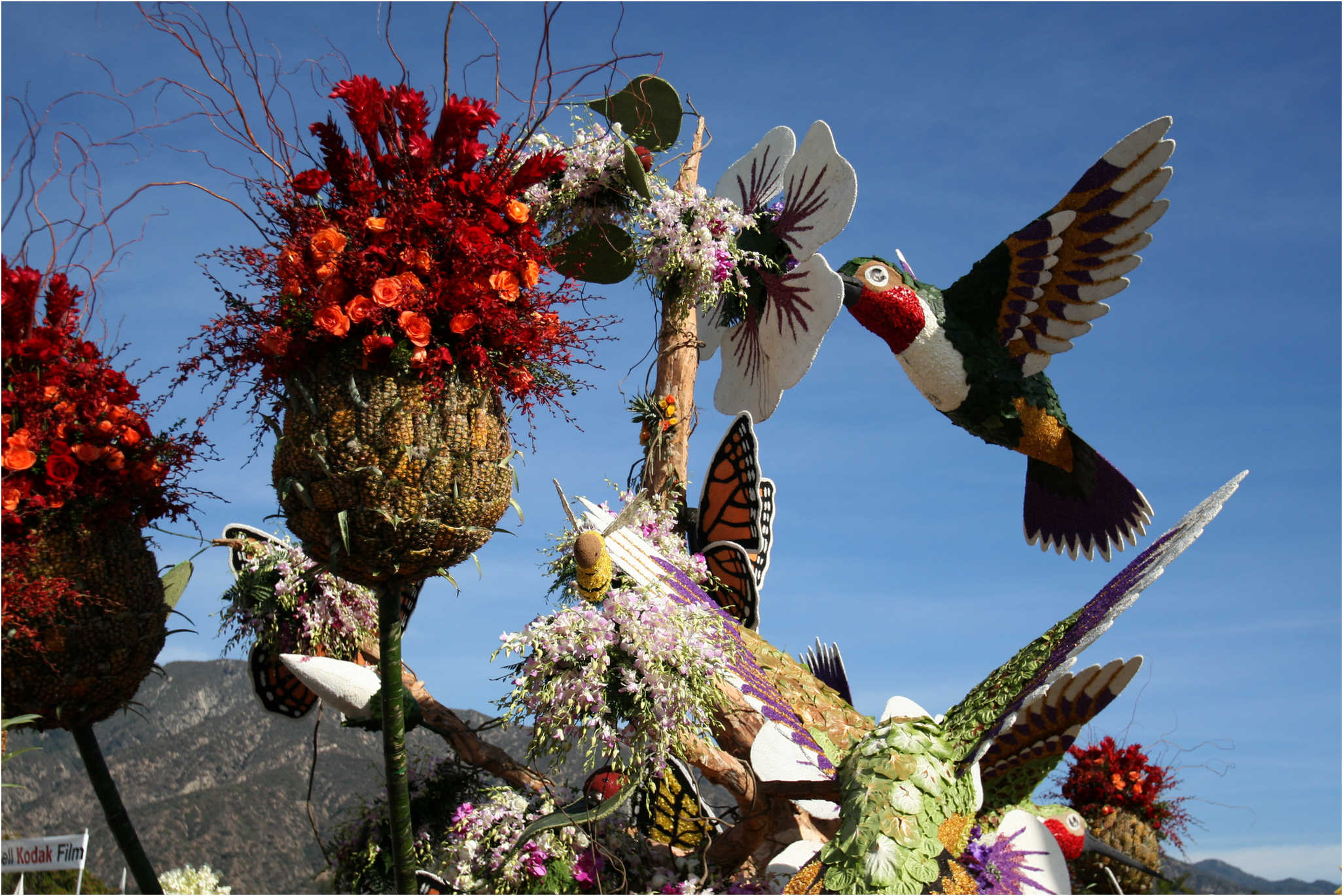 Rose Parade Walk  2007