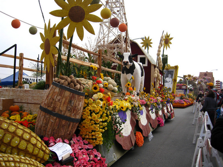 New Years 2009 Float Review