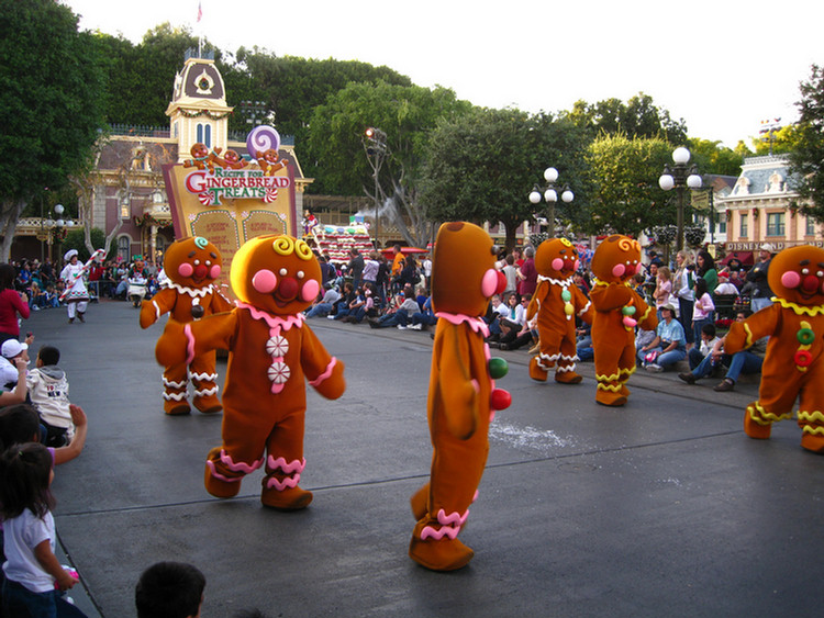 Disneyland Christmas Parade With Hannah