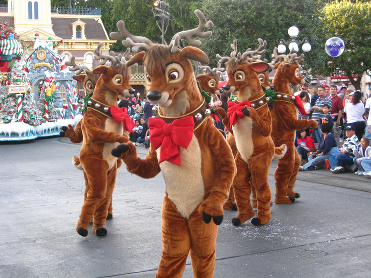 Disneyland Christmas Parade With Hannah