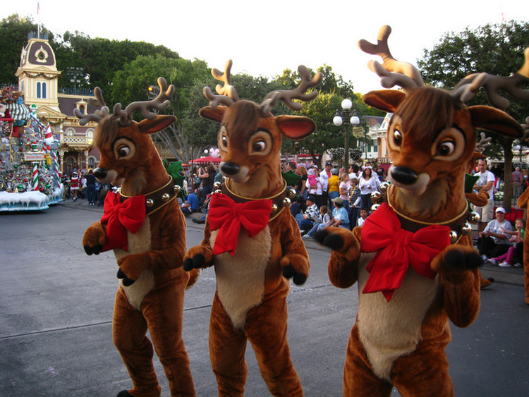 Disneyland Christmas Parade With Hannah