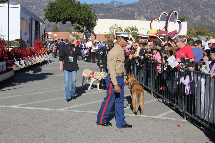 Rose Parade 1/2/2013