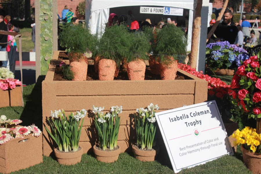 2015 Rose Parade Floats