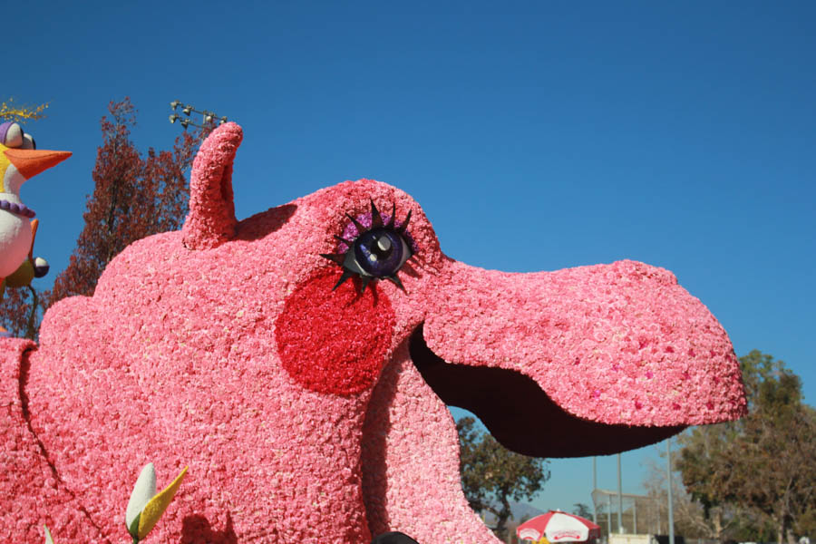 2015 Rose Parade Floats