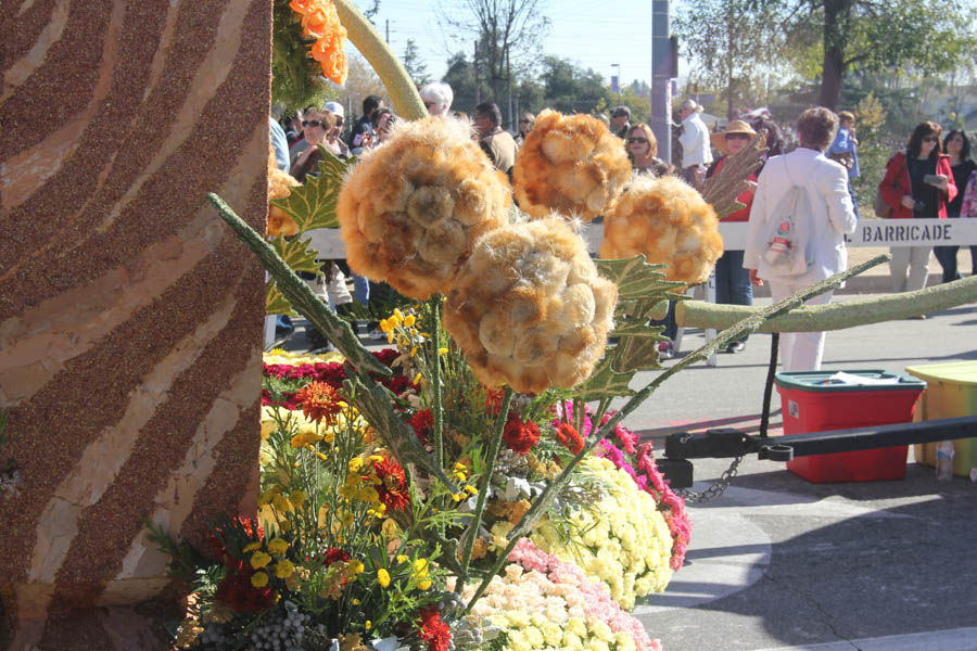 2015 Rose Parade Floats