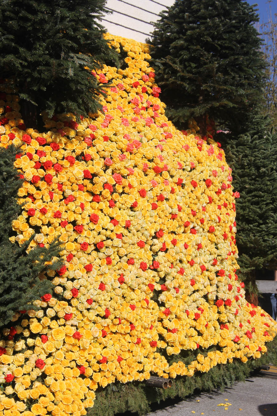 Rose Parade Floats New Years 2015 and lunch at Santorini