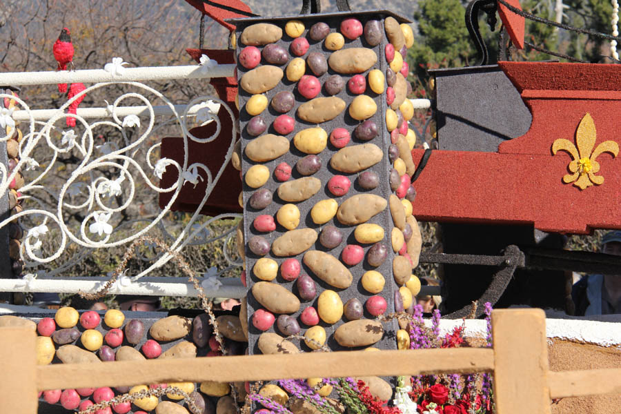 Rose Parade Floats New Years 2015