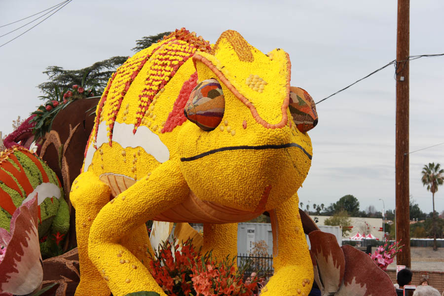 Walking the 2017 Rose Parade Floats with Joanna 1/3/2017