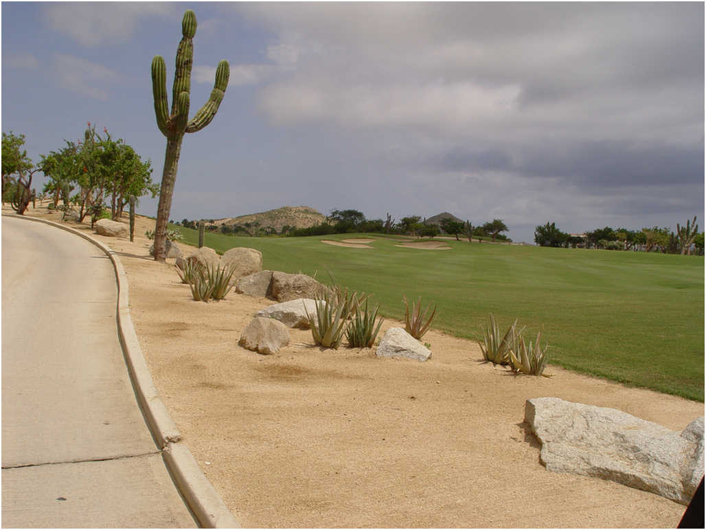 Golf In Cabo San Lucas