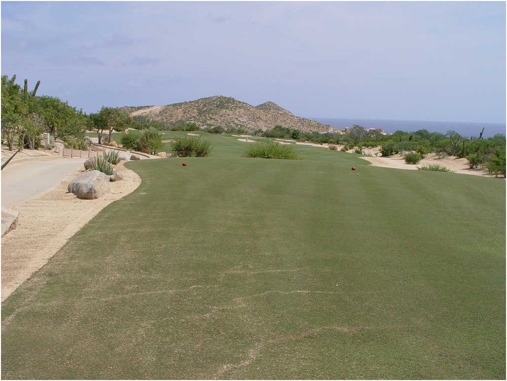 Golf In Cabo San Lucas