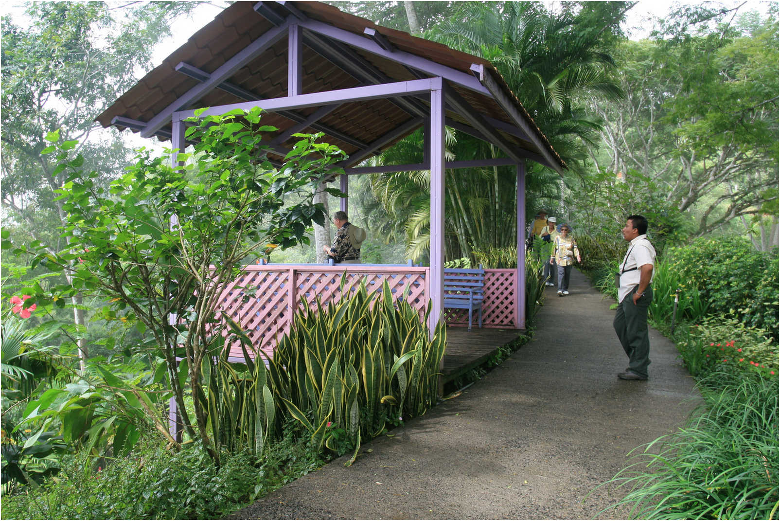 Costa Rican Rain Forects & Gardens