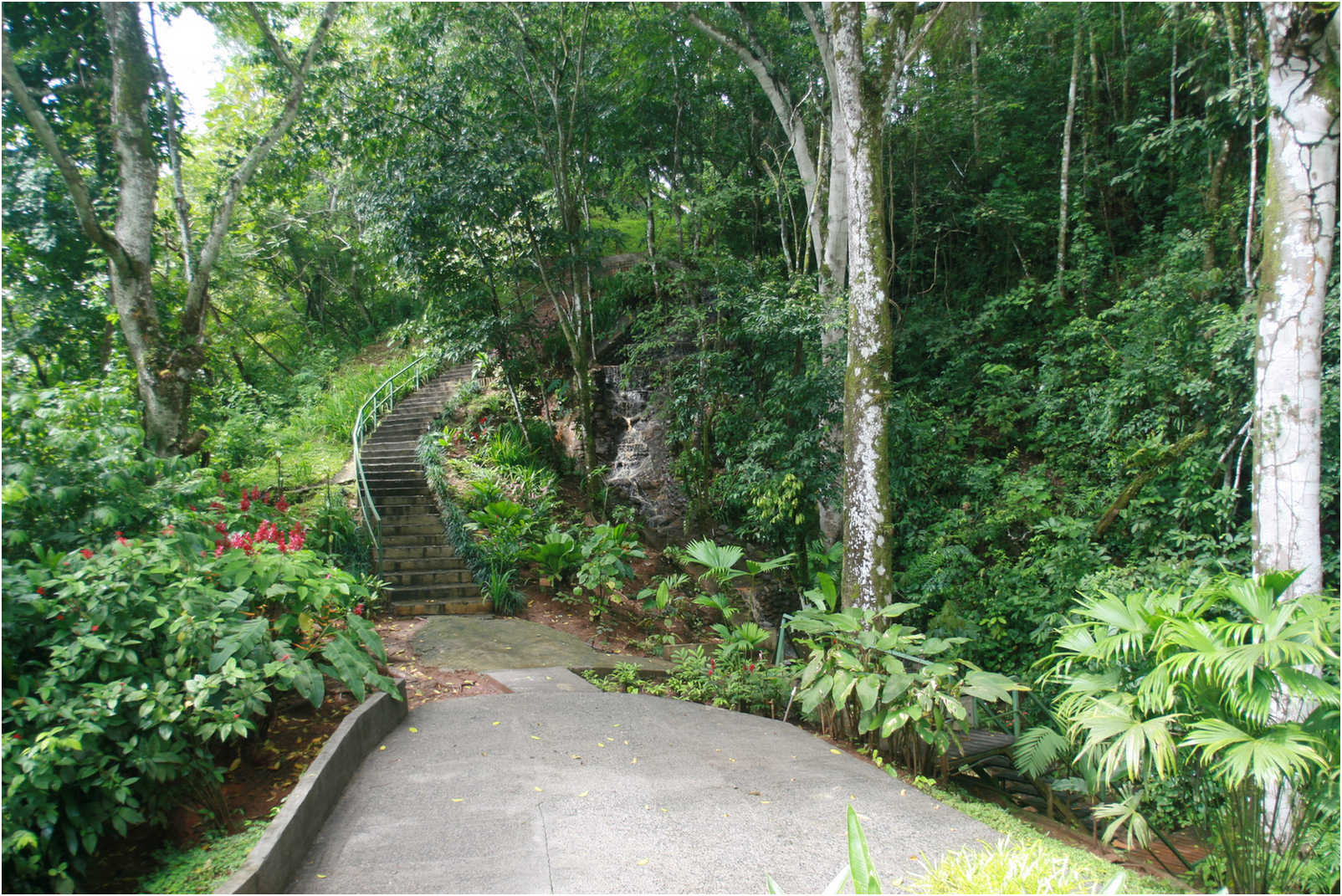 Costa Rican Rain Forects & Gardens