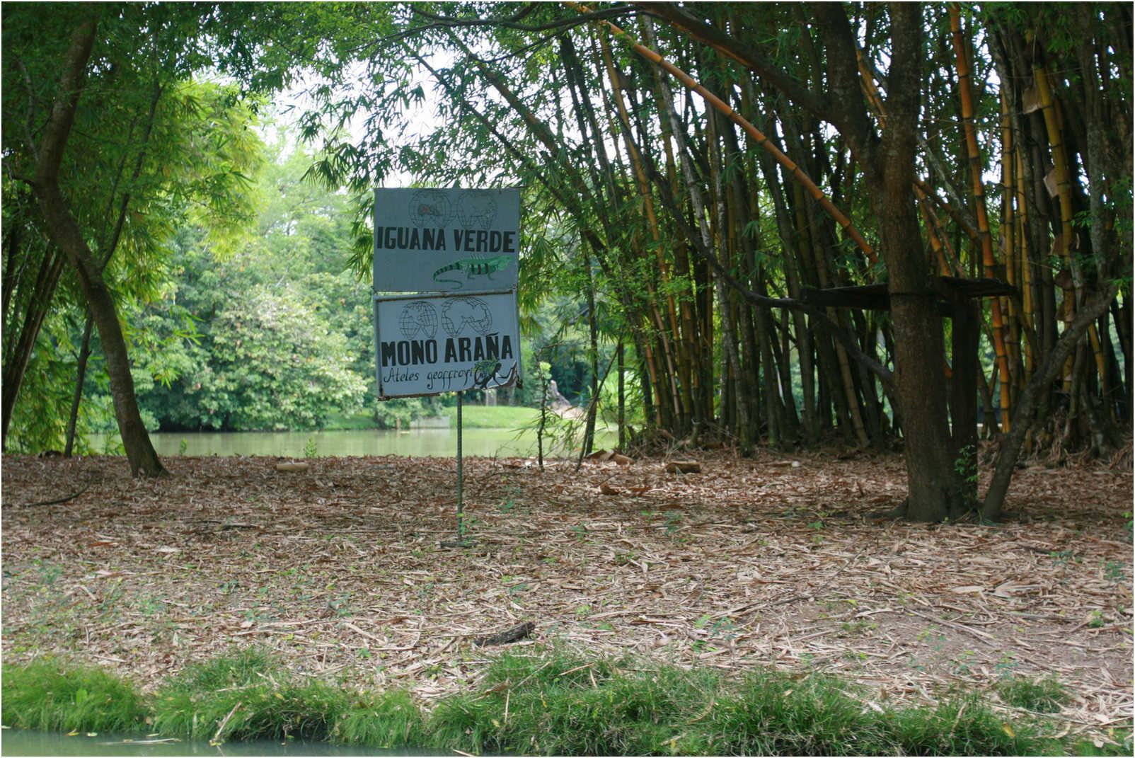 Guatemala's Walk Through Zoo