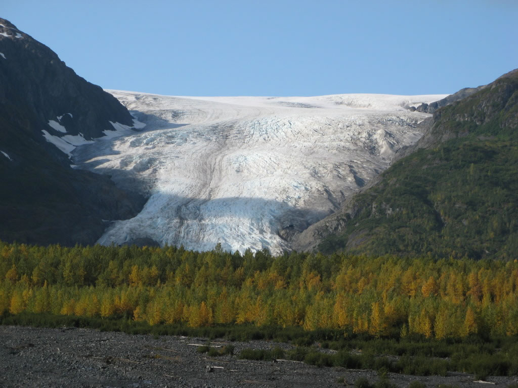 Exit Glacier