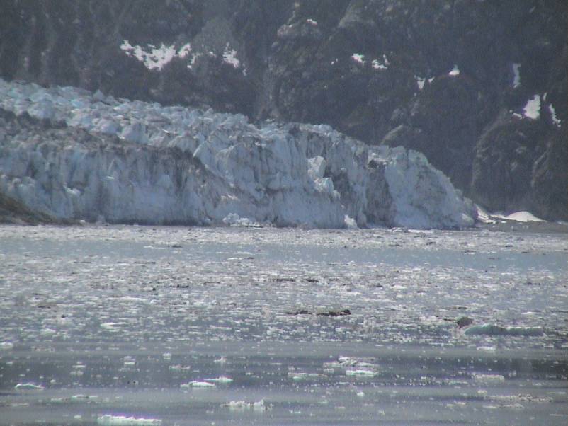 Glacier Bay