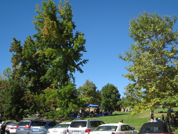 Apple Picking 2009