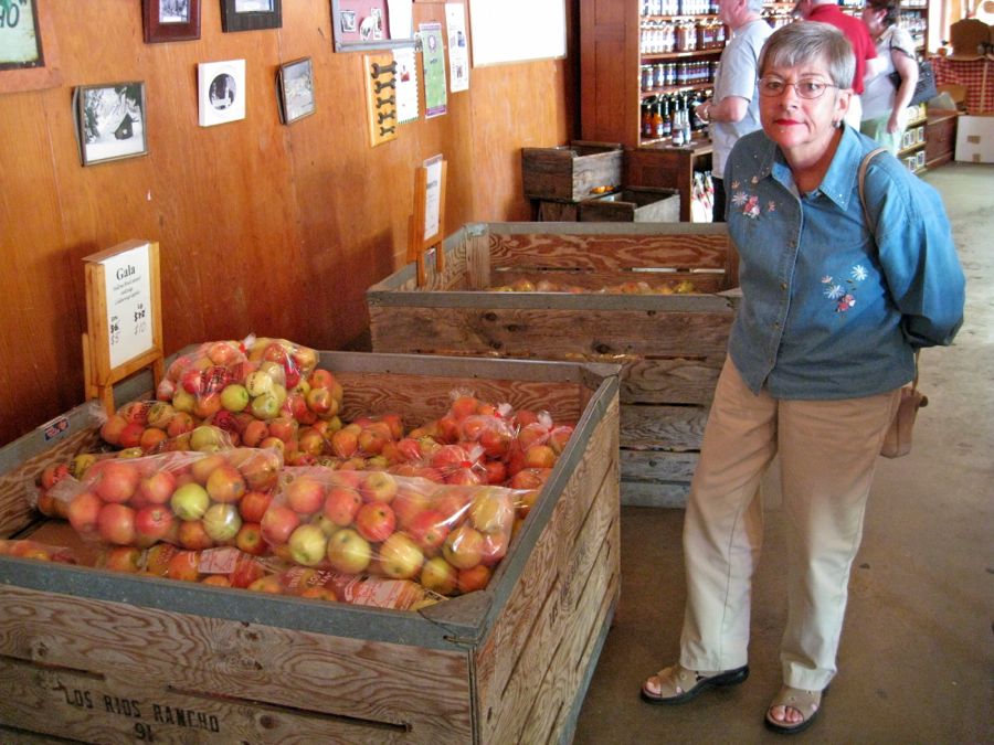 Apple picking at Oak Glen October 2011