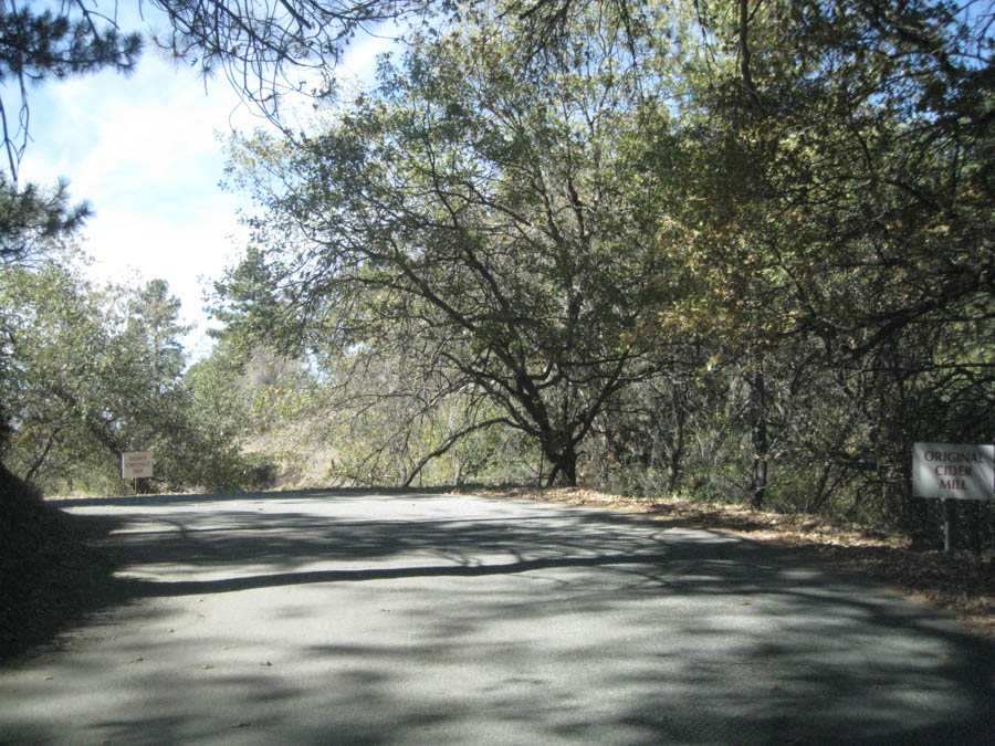 Apple picking in Oak Glen California October 2014