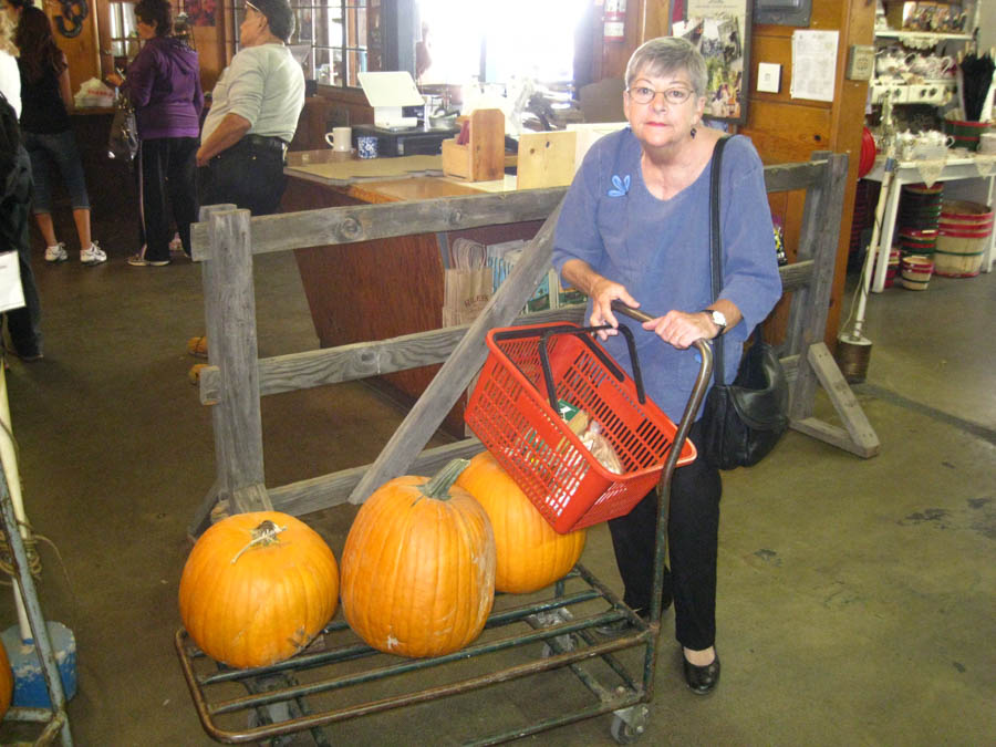 Apple picking in Oak Glen California October 2014