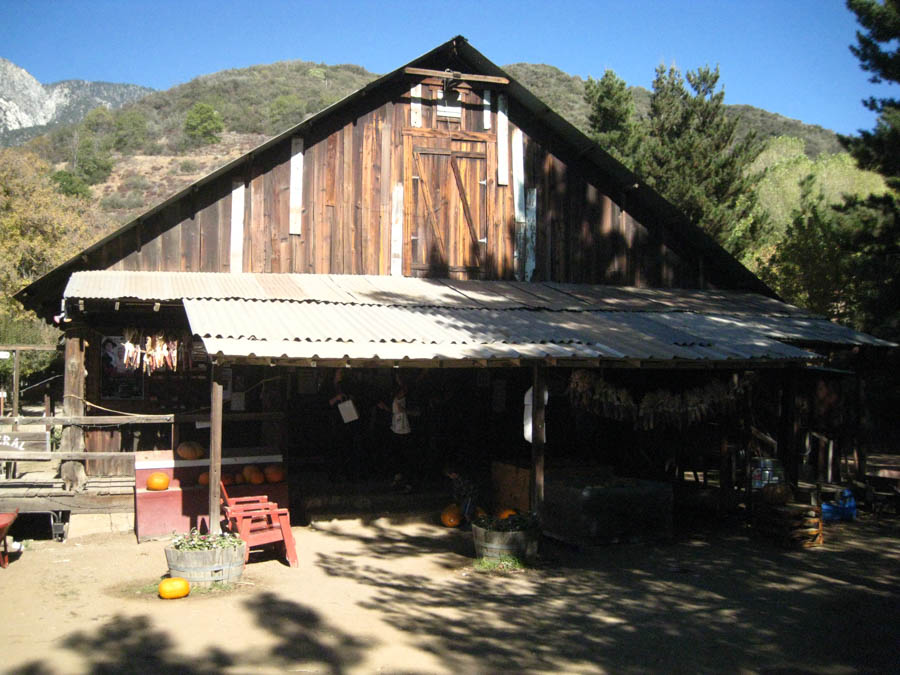 Apple picking in Oak Glen California October 2014