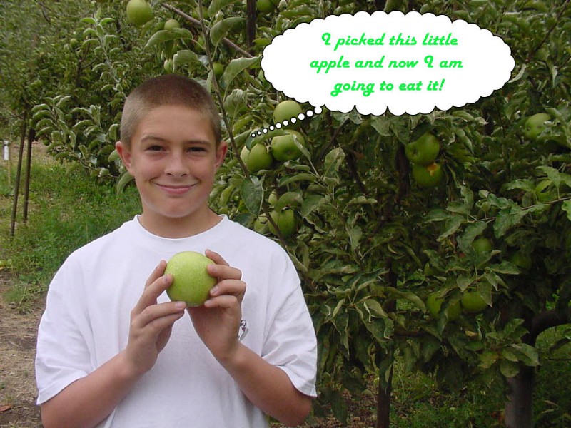 Jonathan Found A Goody
