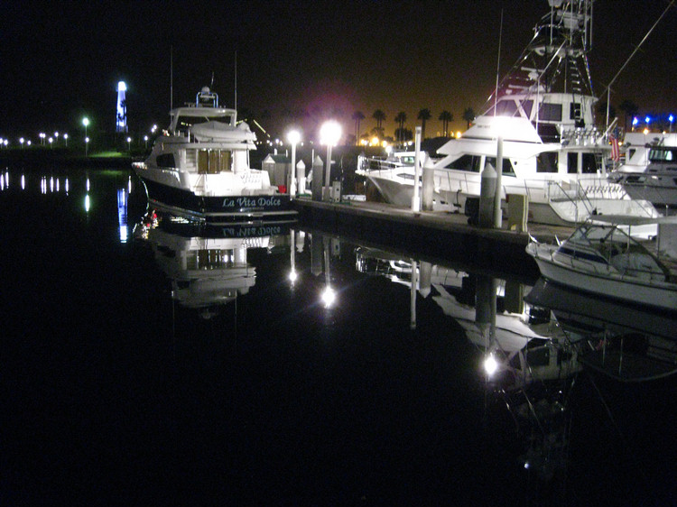 Aquarium Late Night November 2009