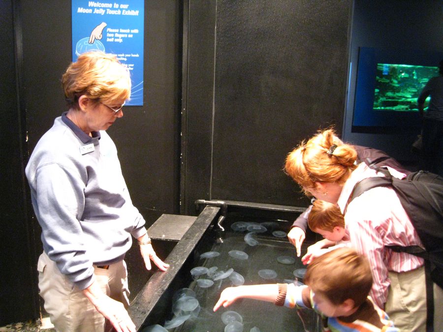 Aquarium visit May 2011 with Theo