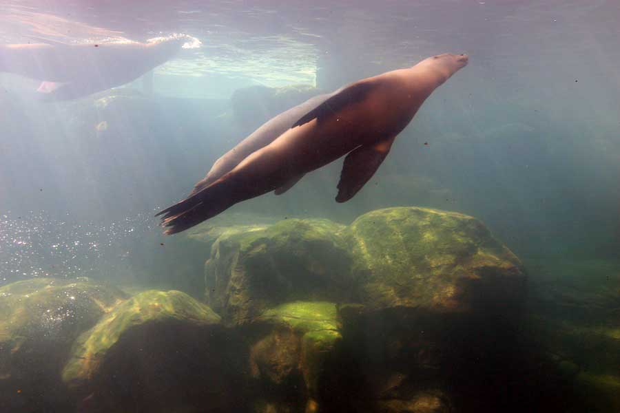 Lunch and the Aquarium with family 9/21/2013