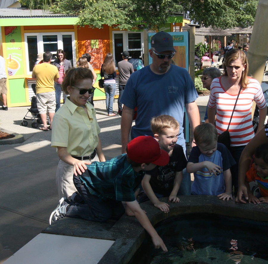 Lunch and the Aquarium with family 9/21/2013