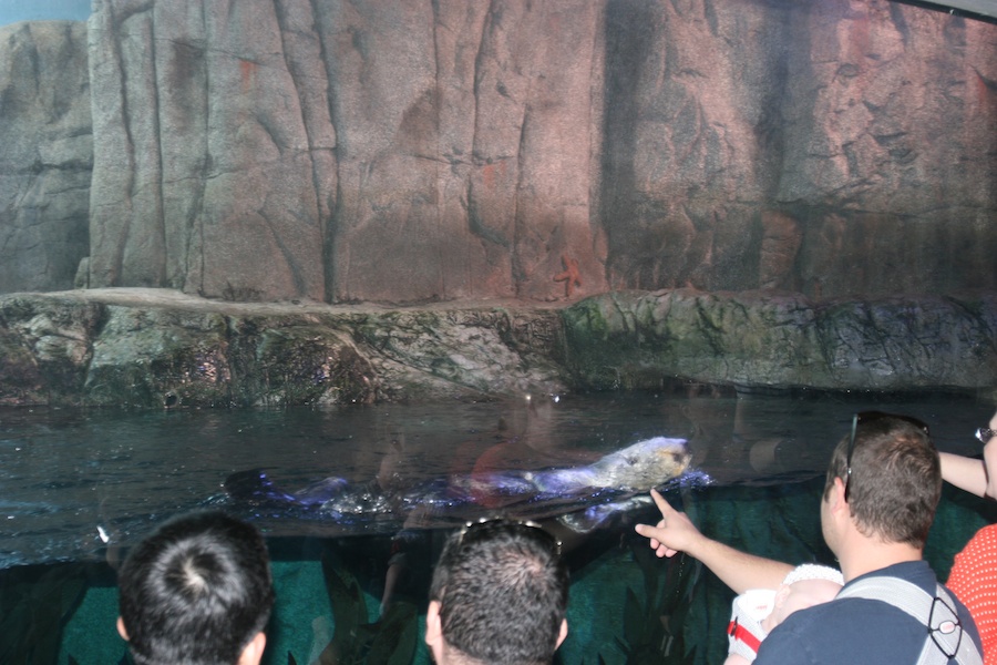 Lunch and the Aquarium with family 9/21/2013