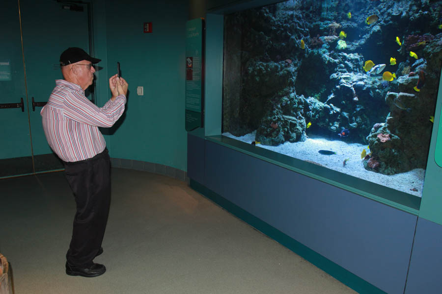 Aquarium Of The PAcific With Friends September 2014