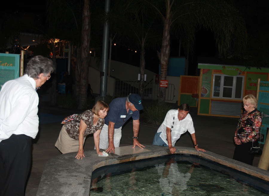 Prom Night at the aquarium 3/26/2015