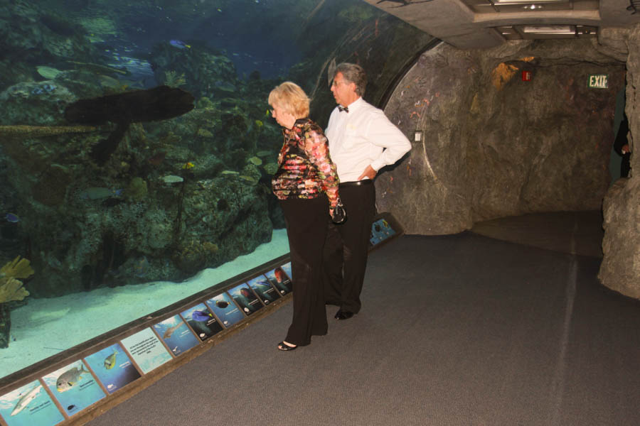 Prom Night at the aquarium 3/26/2015