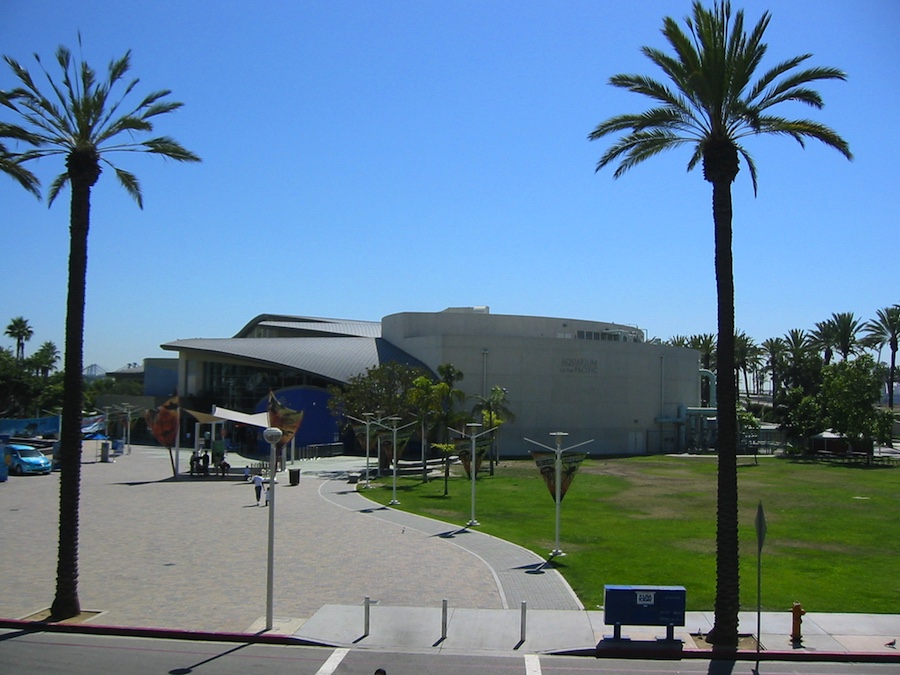 Prom Night at the aquarium 3/26/2015