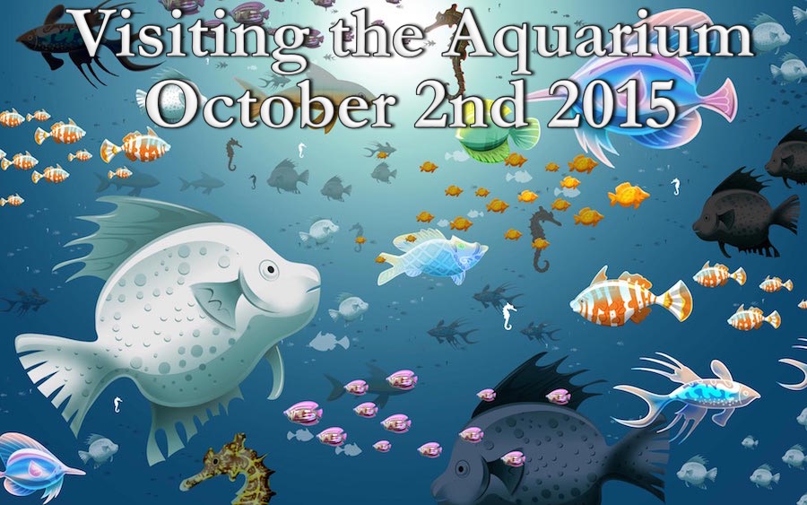 Dive Night at the Aquarium October 2nd 2015