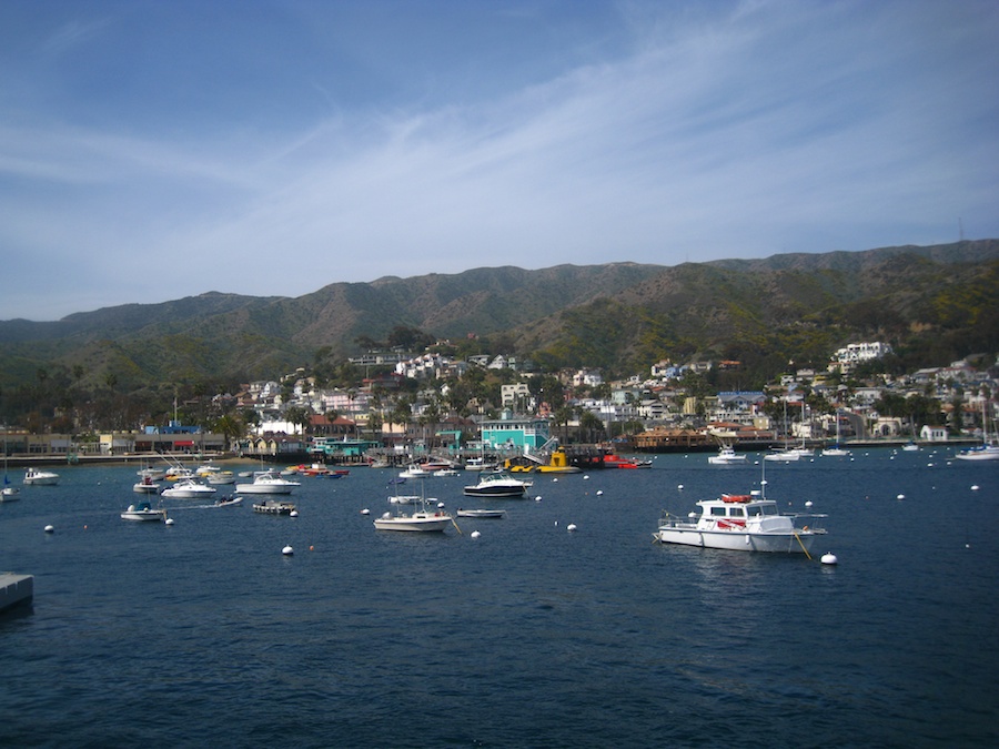 Visiting Catalina for the Pre Avalon Ball activities March 2013