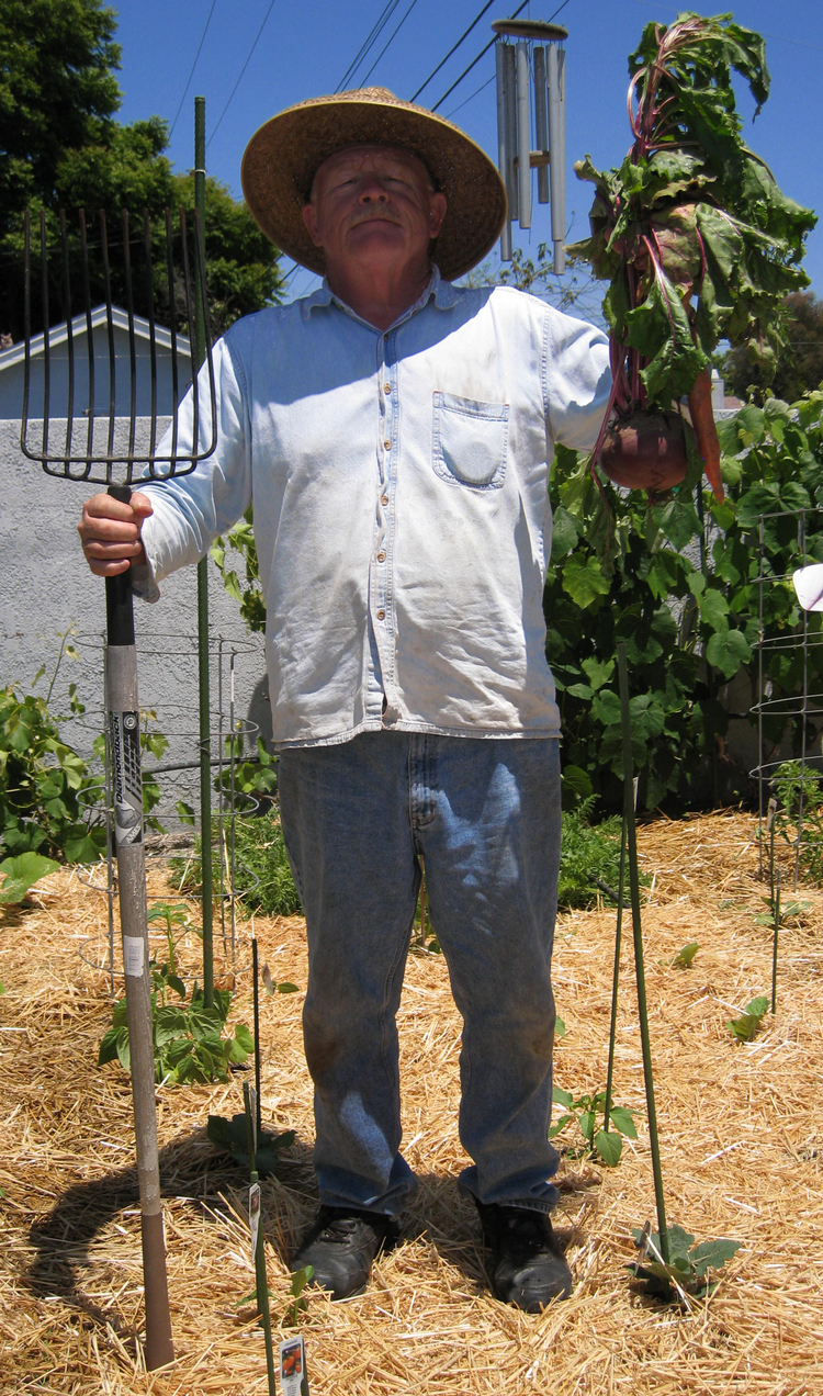 Cooking from the garden