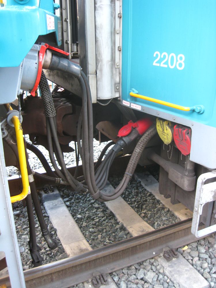 A Day at the races Del Mar 2010