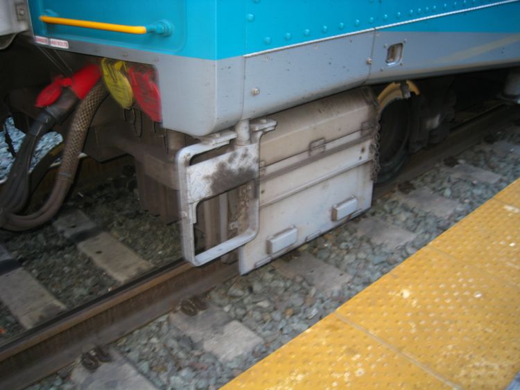 A Day at the races Del Mar 2010