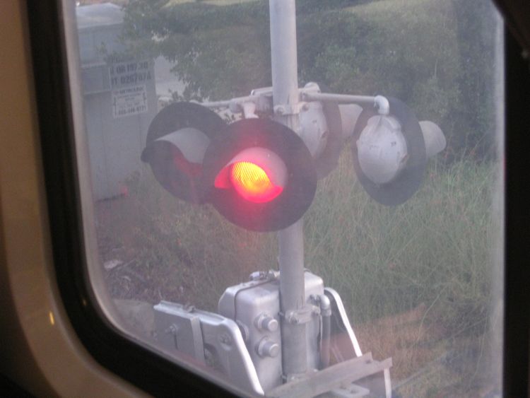 A Day at the races Del Mar 2010