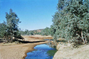 Alice Springs springs