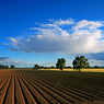 Farmer's Market Backgrounds