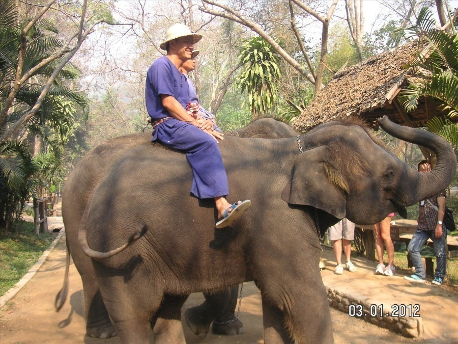 Time to visit the elephants and have a ride