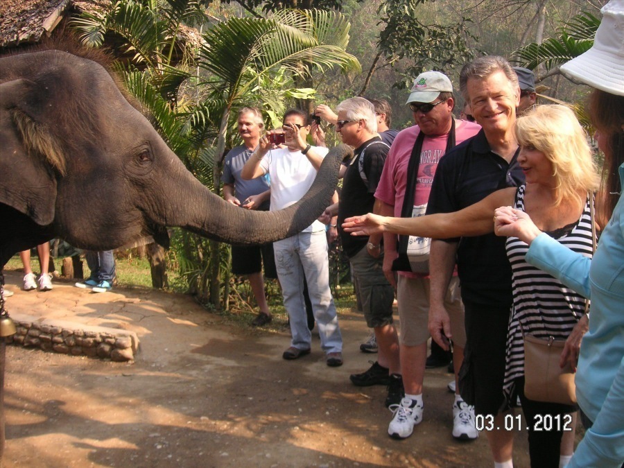 Time to visit the elephants and have a ride