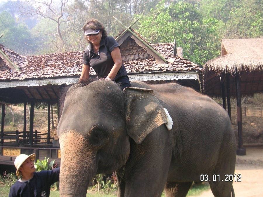 Time to visit the elephants and have a ride