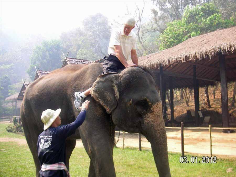 Time to visit the elephants and have a ride