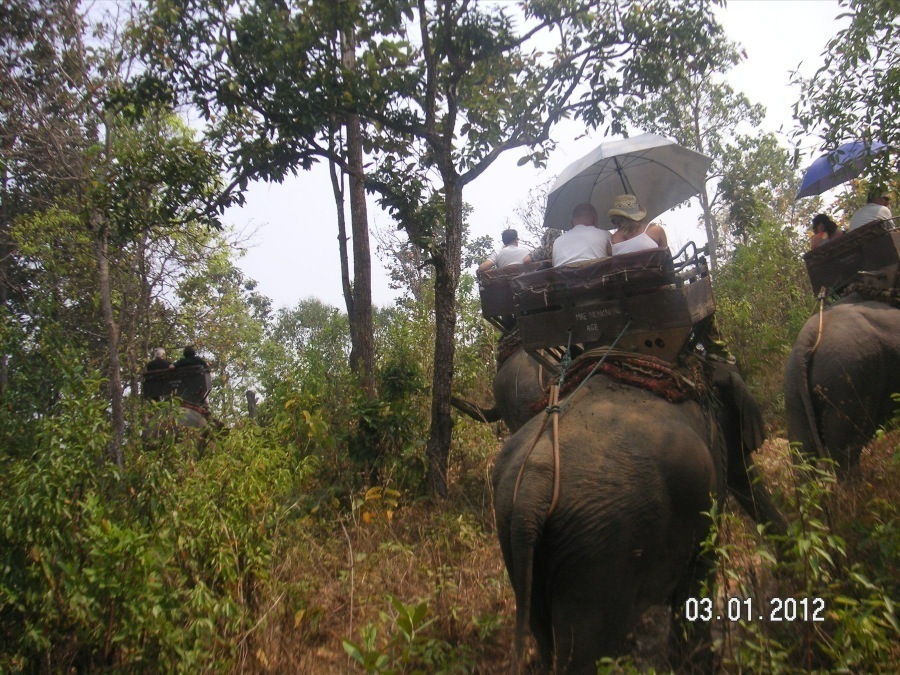 Time to visit the elephants and have a ride