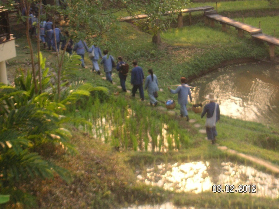 Wats in Chiang Mai on our last day