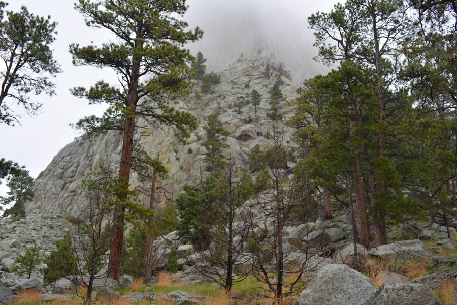 Kathy goes to the Devils Tower May 2015